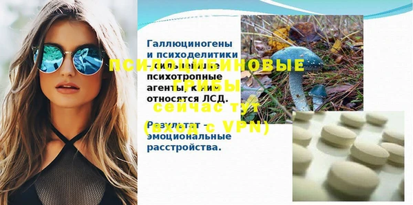 винт Абаза