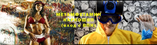 индика Нягань