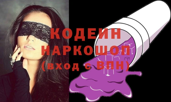 индика Нягань